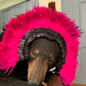 Cancan Feather Headpiece